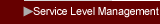 Service Level Management