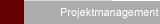 Projektmanagement
